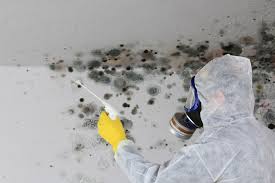 Trusted Pottsboro, TX Mold Prevention & Removal  Experts